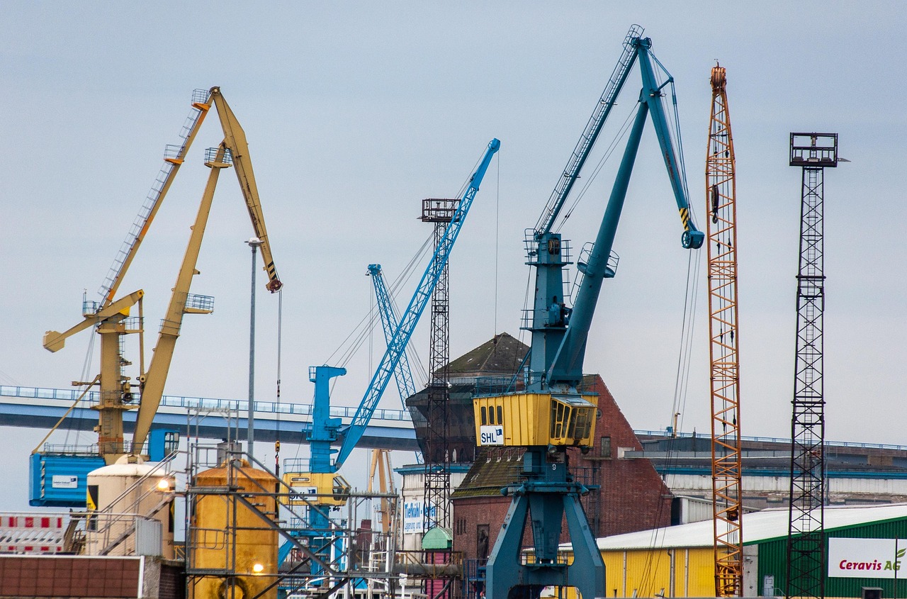 The Impact of Tariffs on Domestic Industries (image credits: pixabay)