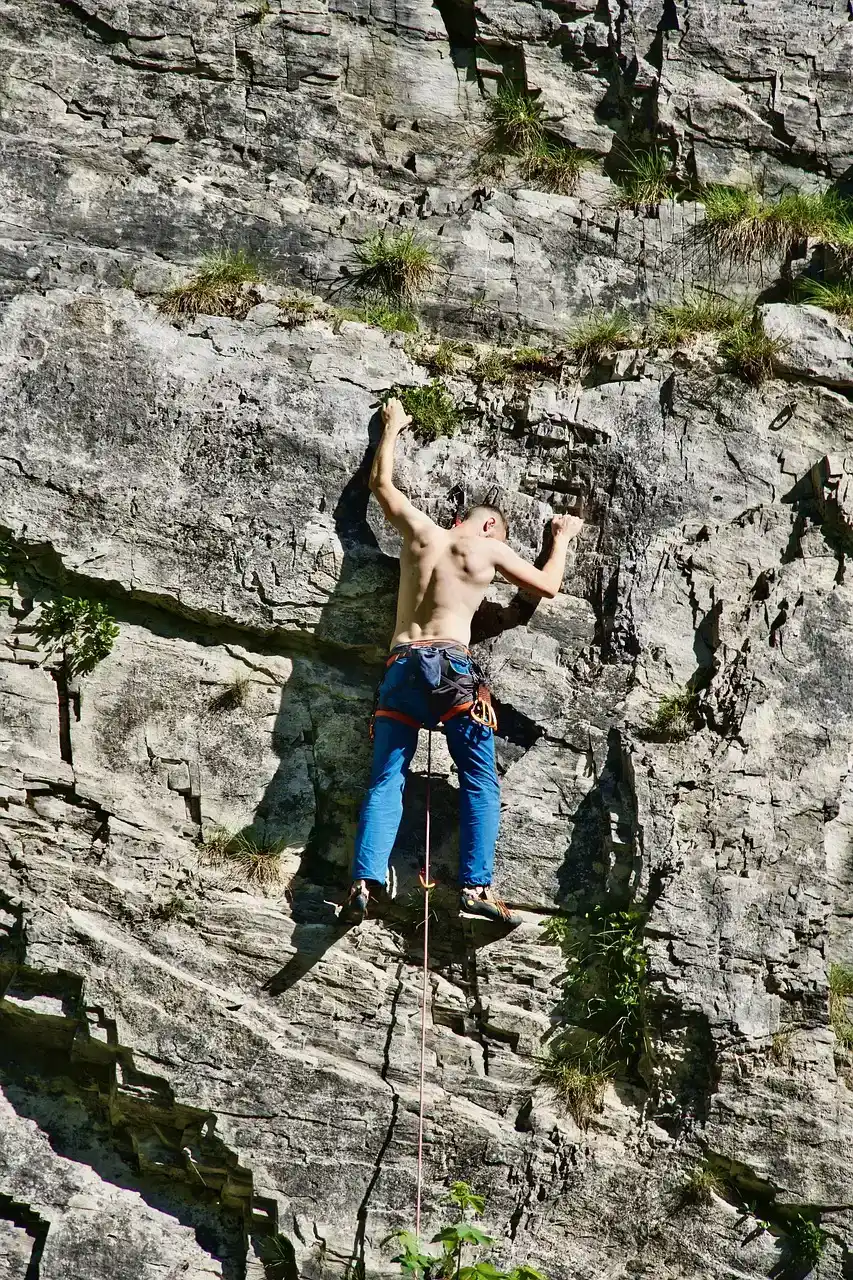 Capricorn: The Relentless Climber Who Never Quits (Image Credits: Pixabay)