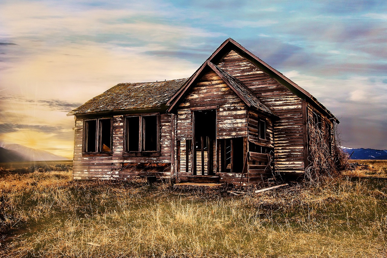 The Stock Raising Homestead Act of 1916: The Last Great Land Giveaway (image credits: pixabay)