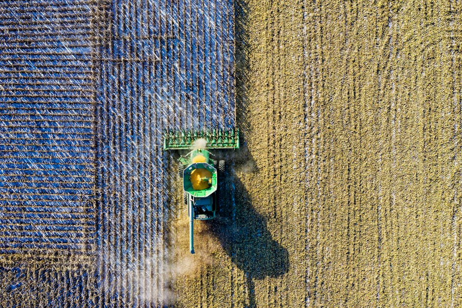 Lessons Learned from the Dust Bowl (image credits: pexels)