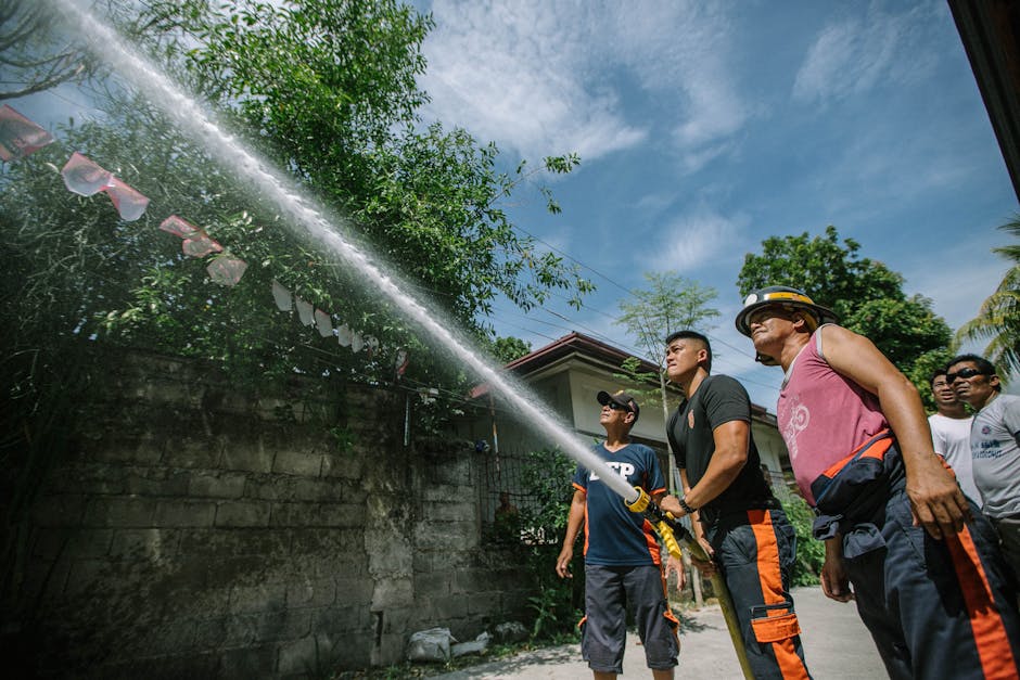 Community Involvement and Preparedness (image credits: pexels)