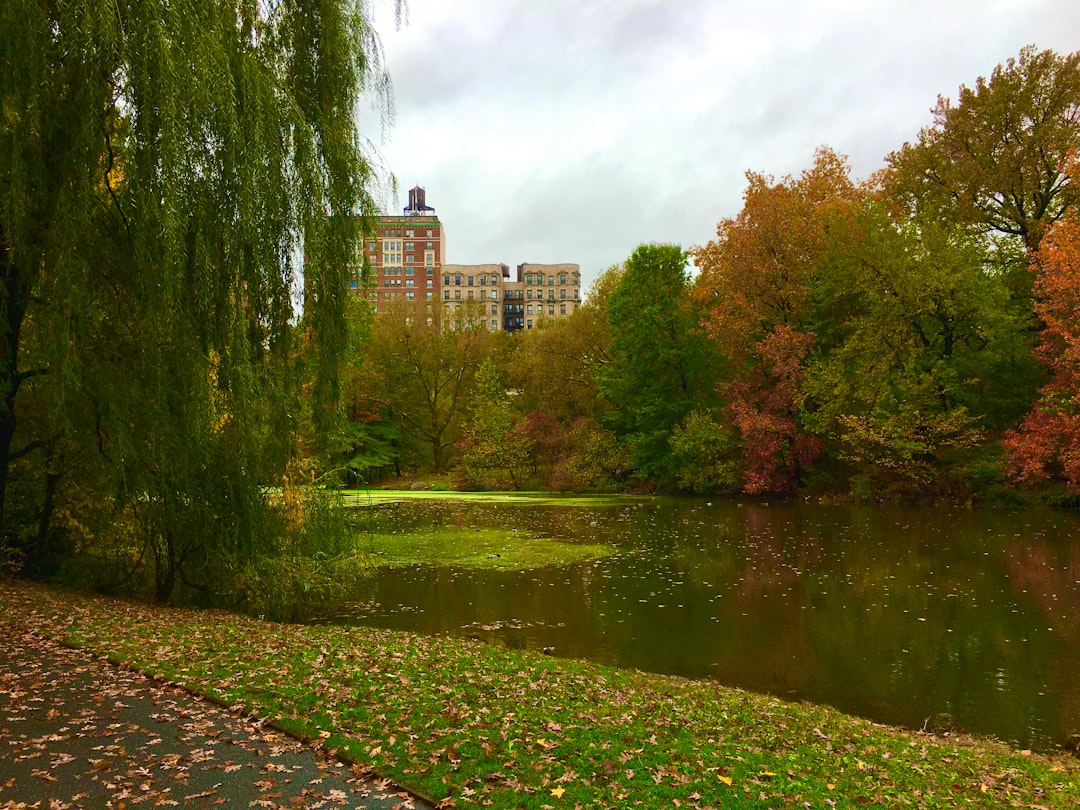 Legacy of Parks Program—Urban Green Spaces Revolution (image credits: unsplash)