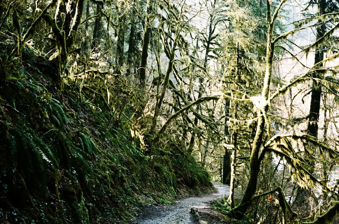 The Oregon Film Trail and What It Means for Visitors (Image Credits: Unsplash)