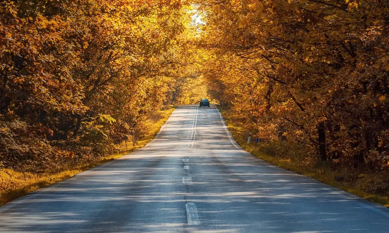 Talimena Scenic Drive: Autumn's Hidden Gem in the Ouachita Mountains (Image Credits: Pixabay)