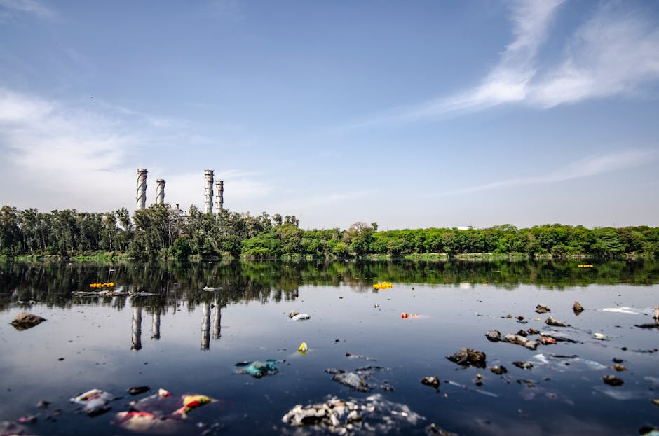 The State of Water Pollution: A Closer Look (image credits: pexels)