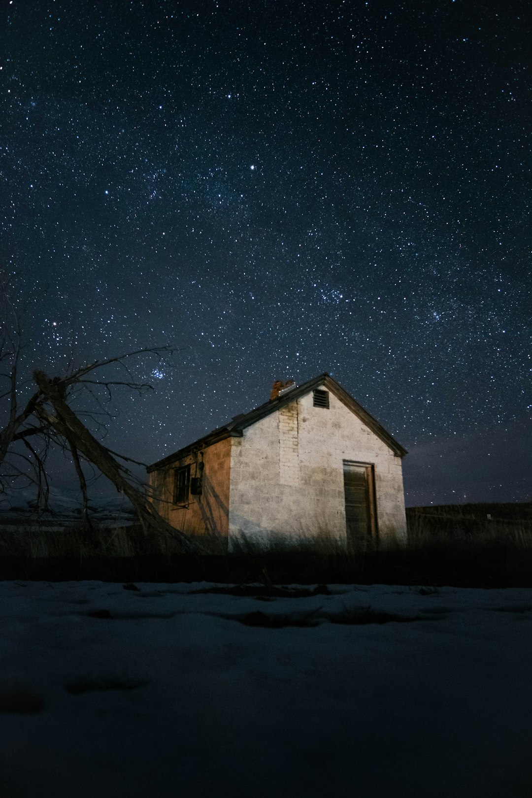 When Norwegian Dreams Met Prairie Reality (image credits: unsplash)