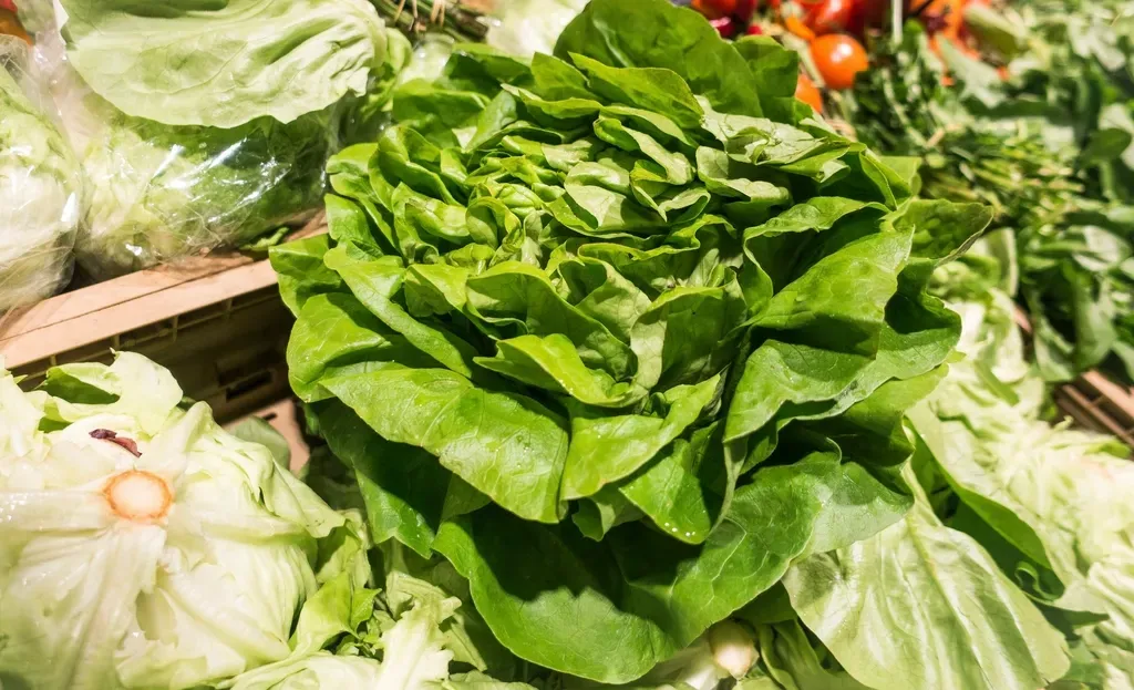 Lettuce and Leafy Greens (Image Credits: Rawpixel)