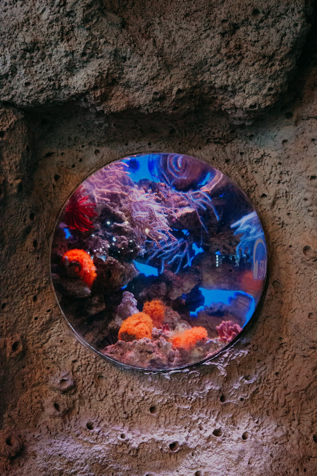 Aquarius: Leading the Future Revolution (image credits: unsplash)