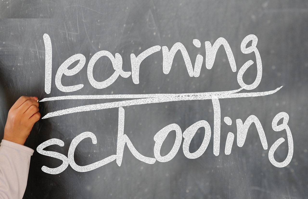 Education Book Bans and Curriculum Battles: Fighting Over What Kids Learn (image credits: pixabay)