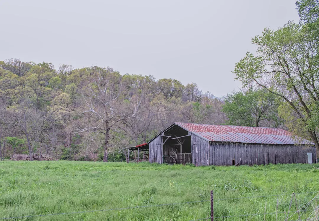 The Reality of Missouri's Agricultural Climate (Image Credits: Unsplash)