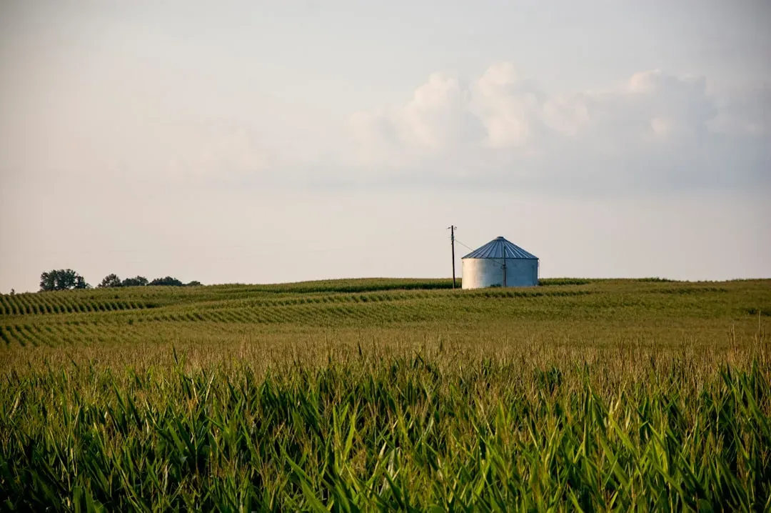 Location in Rural Warren County (Image Credits: Unsplash)