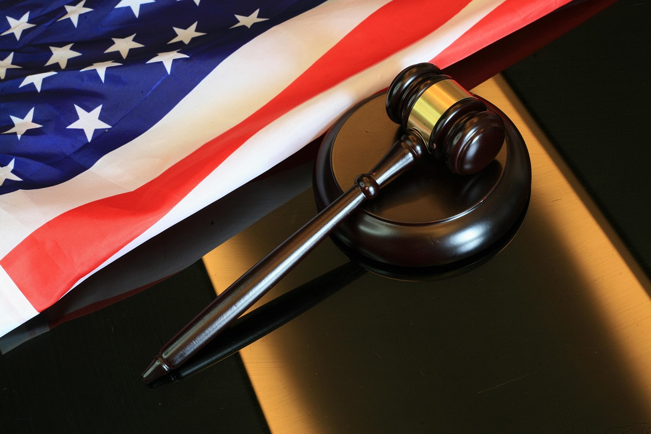 Government Policies and Regulations (image credits: pixabay)