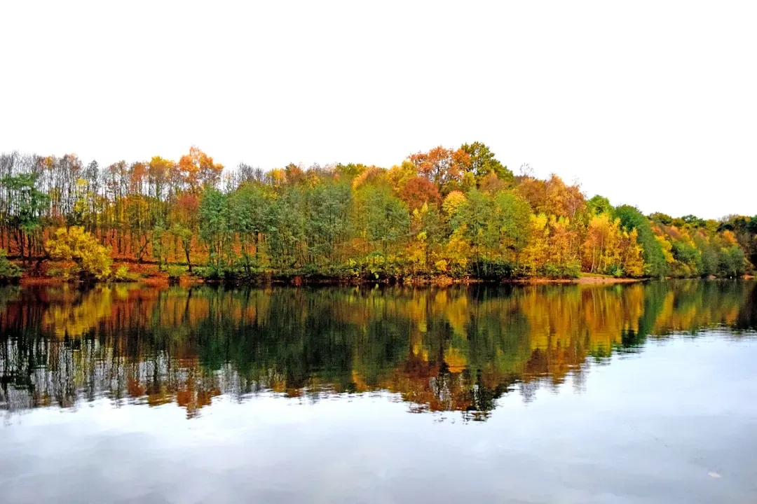 Water Features Amplify Autumn Colors (Image Credits: Unsplash)
