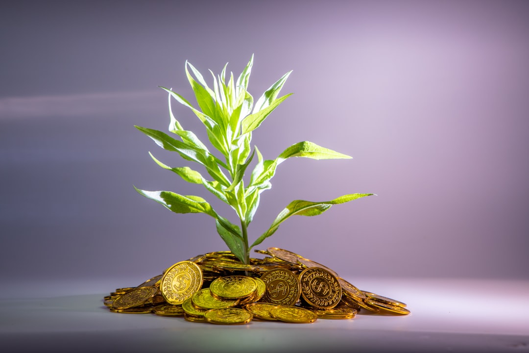 Alternative Assets as Portfolio Anchors (image credits: unsplash)
