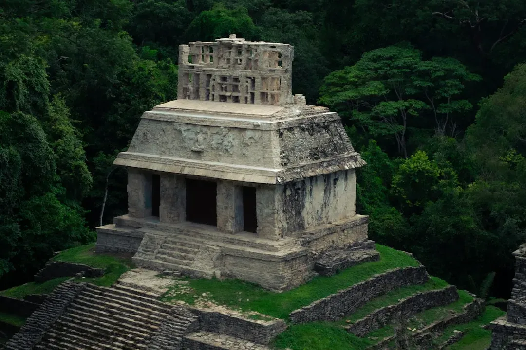2. Founding Maya King's Tomb at Caracol (Image Credits: Unsplash)