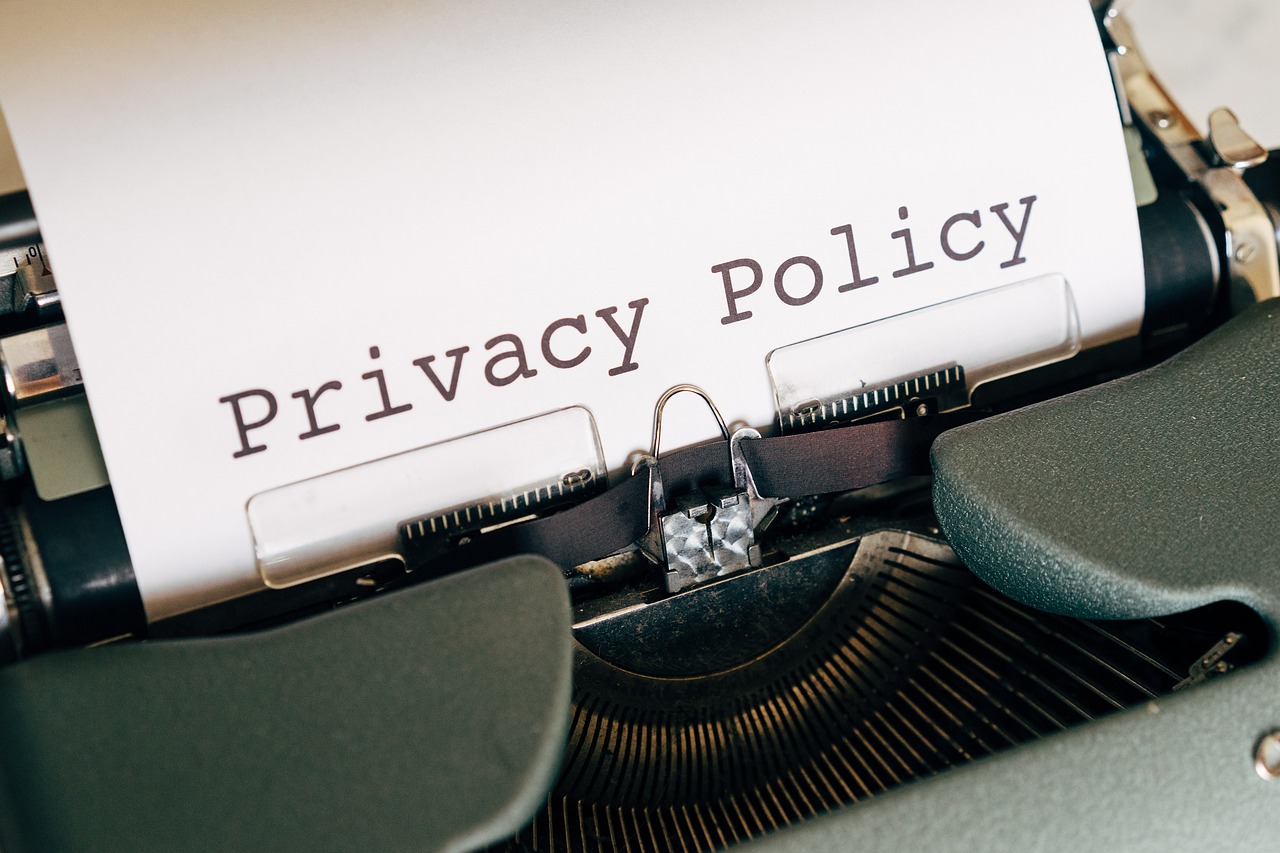 Government Support and Policy Initiatives (image credits: pixabay)