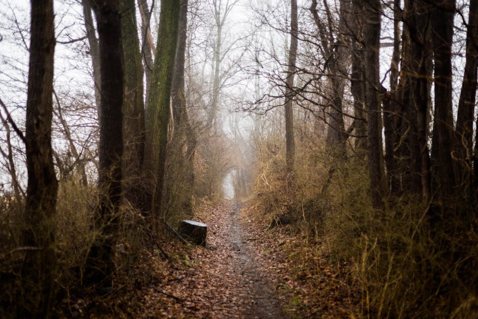 A Place of Paradoxes