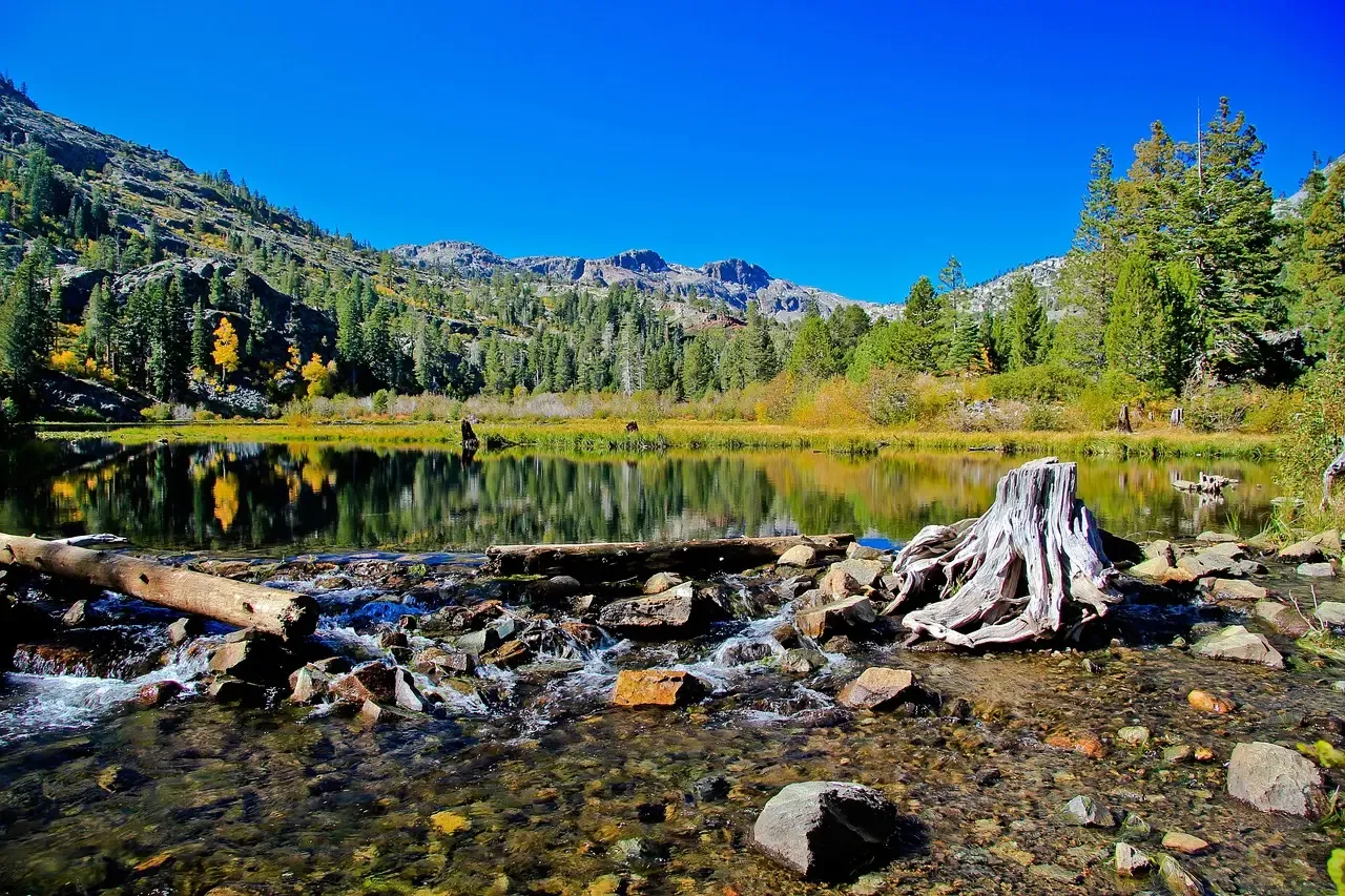 Tahoe Tessie in California (Image Credits: Pixabay)