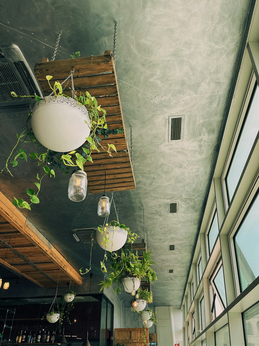 Creature's Plant & Coffee's Green Paradise in Eagle Rock (image credits: unsplash)