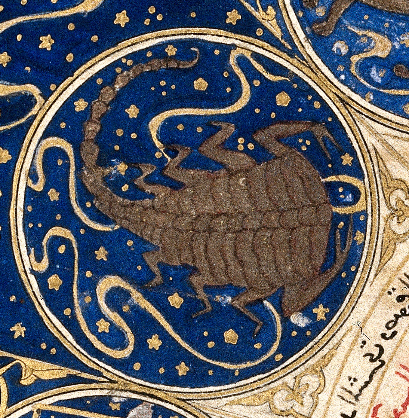 Scorpio's Time of Turbulent Trust Issues (image credits: wikimedia)