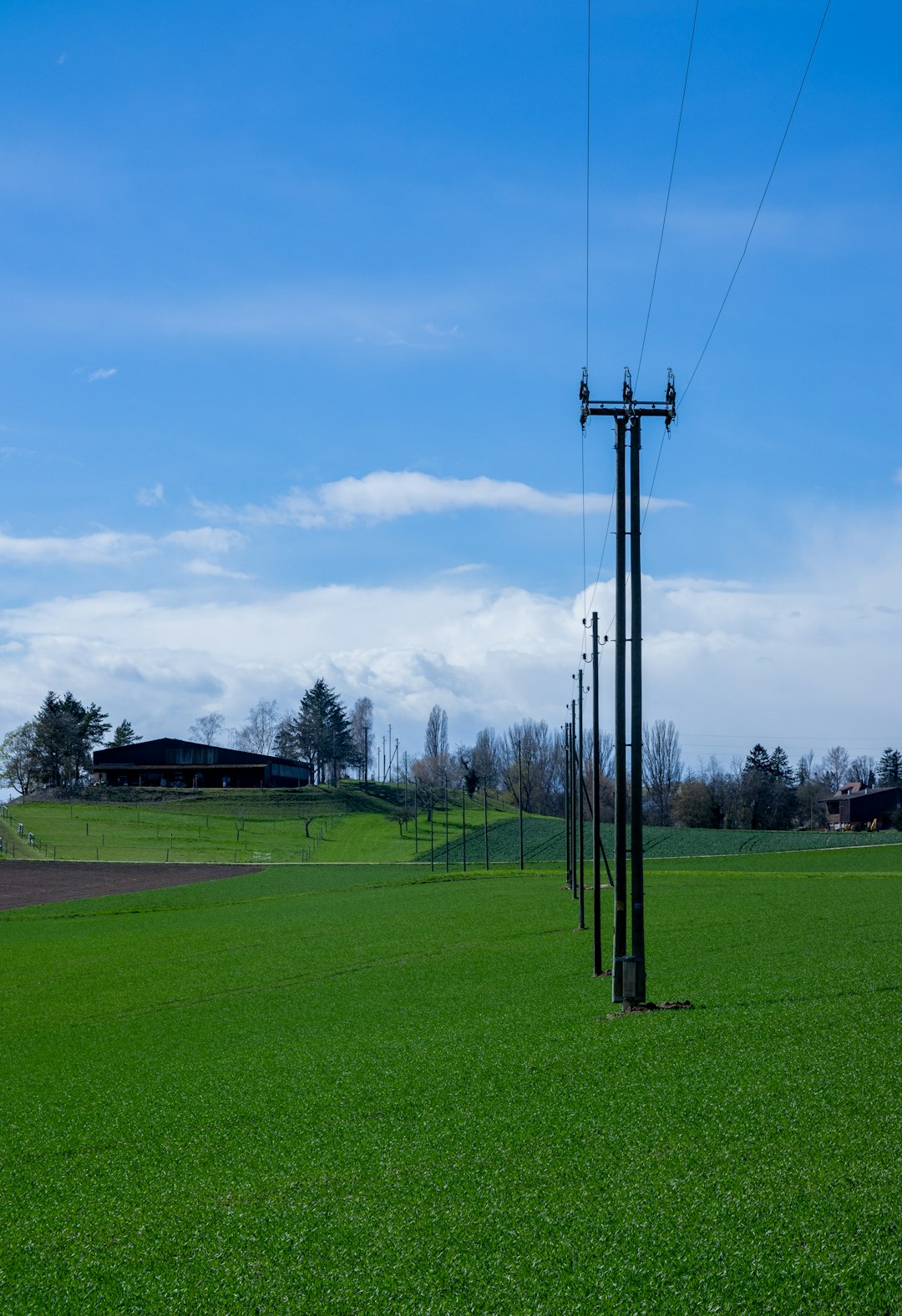 Rural Electrification and Modern Living (image credits: unsplash)
