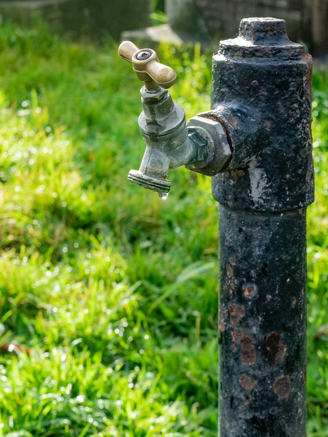 What Residents Can Do to Conserve Water (image credits: unsplash)
