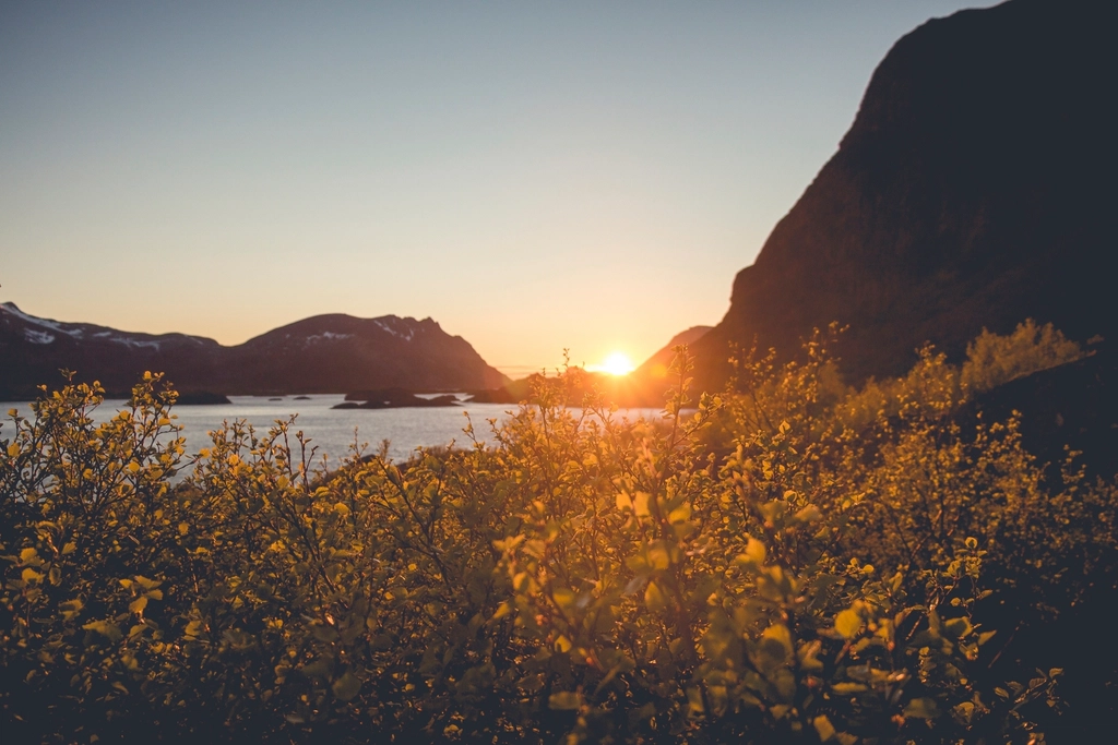 The Cultural Impact And Media Attention (image credits: rawpixel)