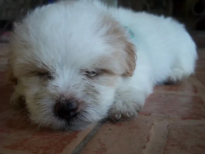 Sudden Changes Signal Health Problems (Image Credits: Flickr)