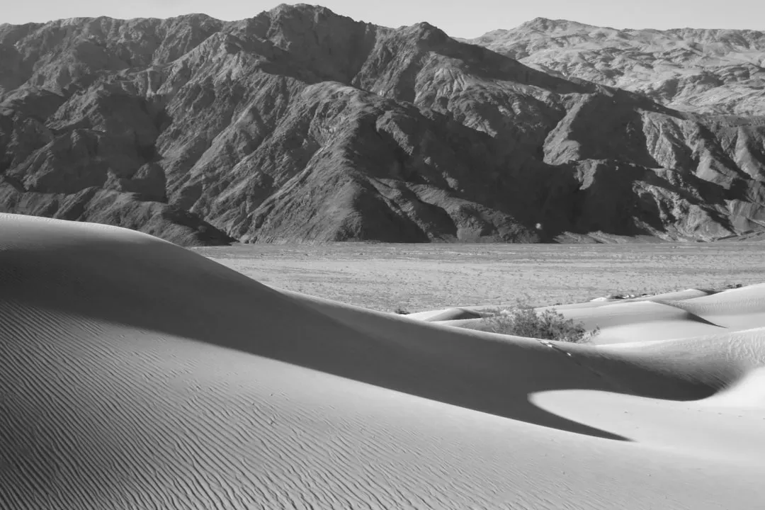Scorpio - Death Valley National Park, California (Image Credits: Unsplash)