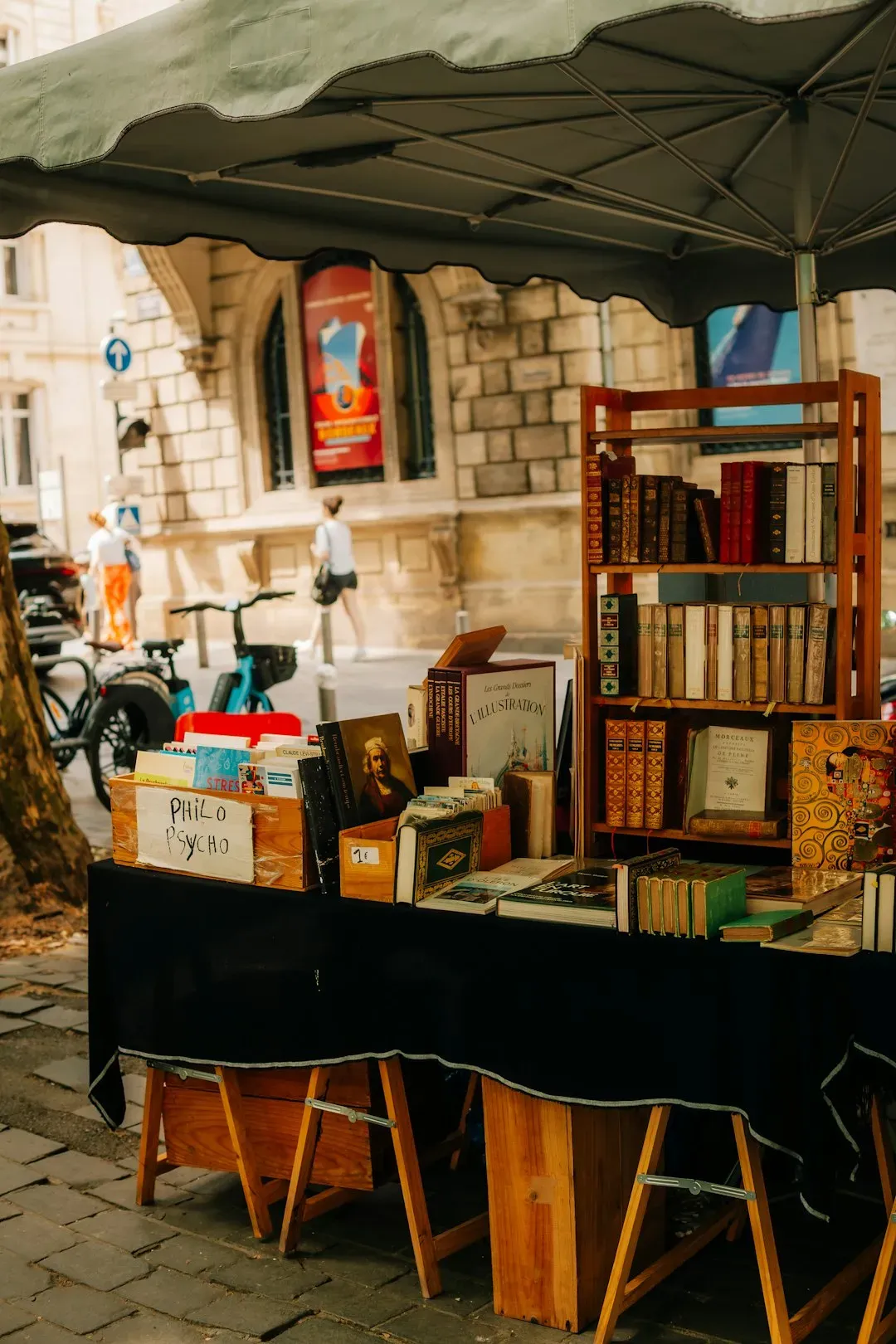 Sagittarius: Education, Travel, and Philosophical Fields (Image Credits: Unsplash)