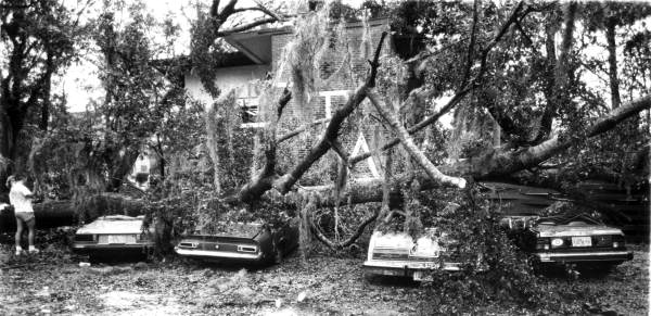 Florida: The Hurricane Capital's Mounting Costs (image credits: wikimedia)