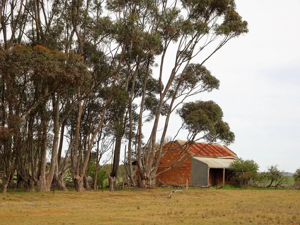 Why These States Need New Blood (Image Credits: Flickr)