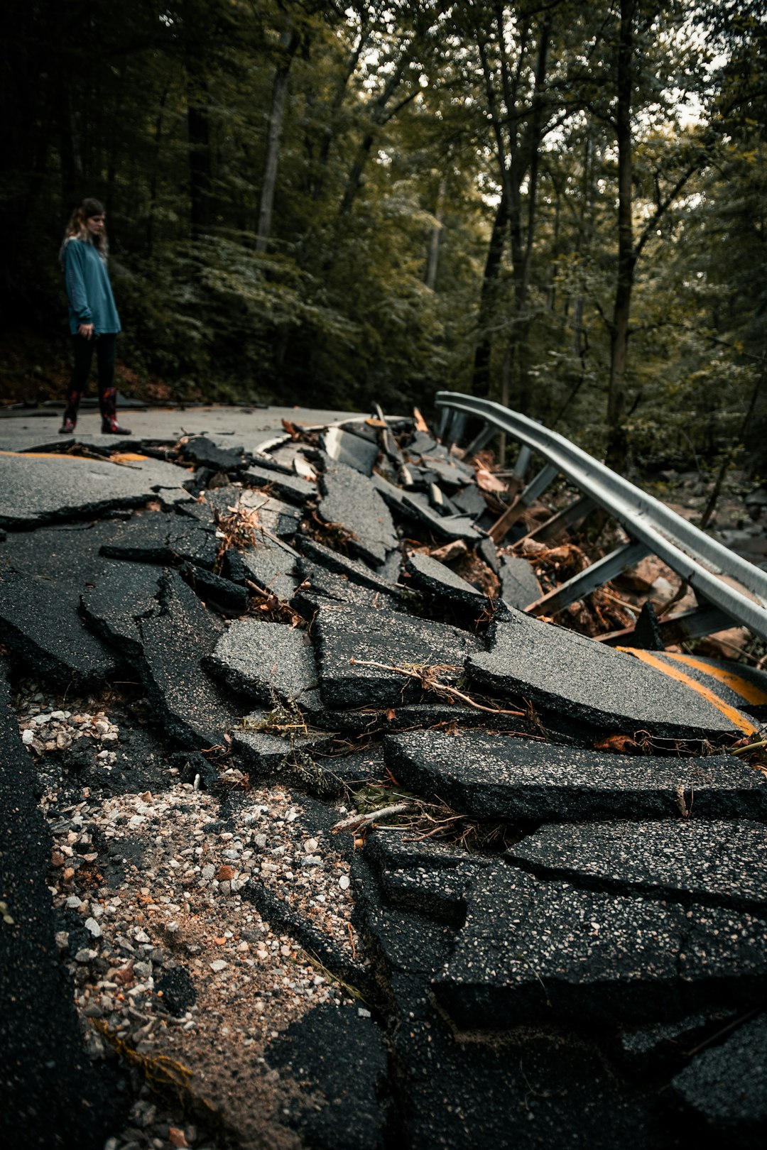 Natural Disasters: Earthquakes and Floods (image credits: unsplash)