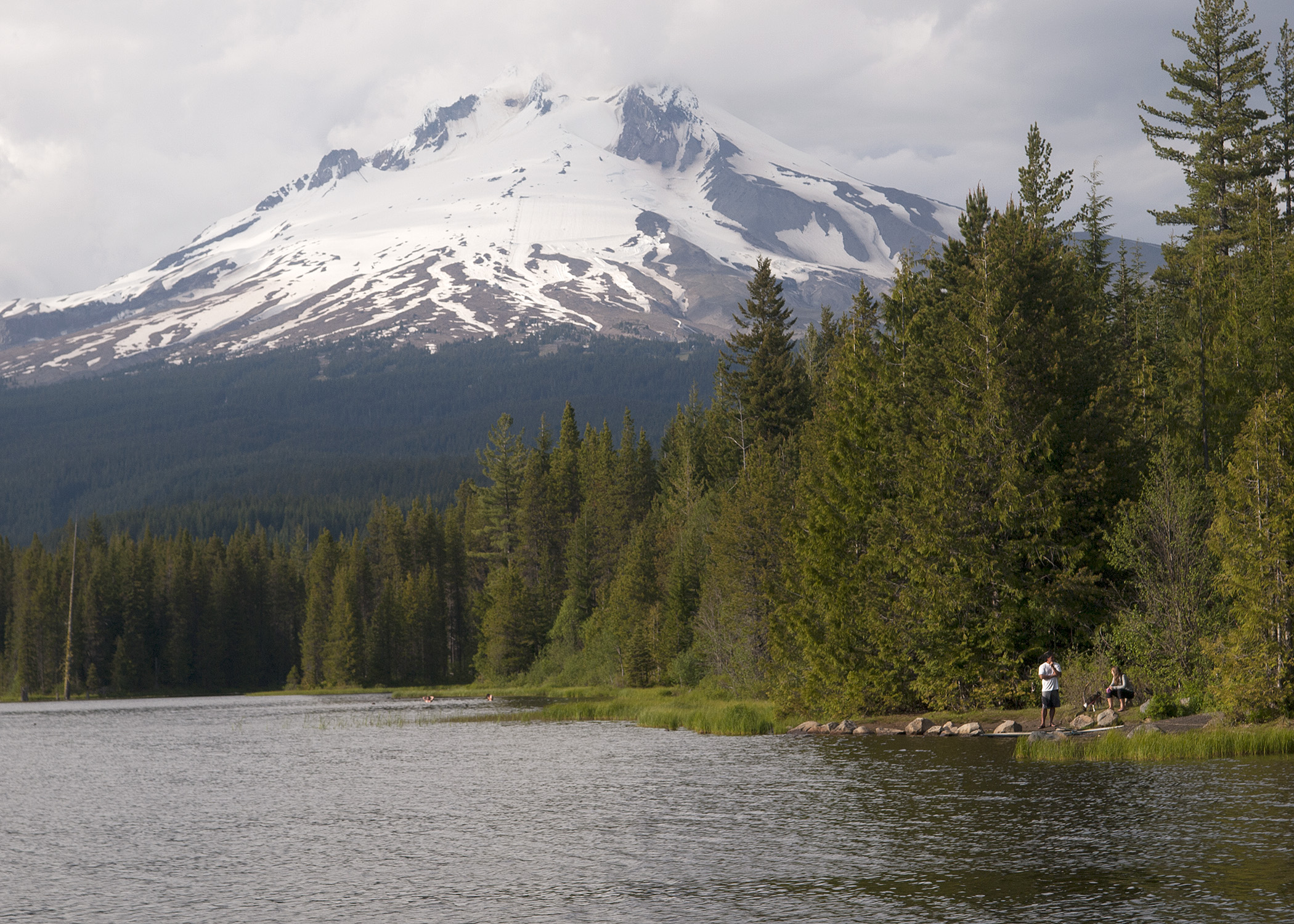 Environmental Significance: A Rich Ecosystem (image credits: wikimedia)