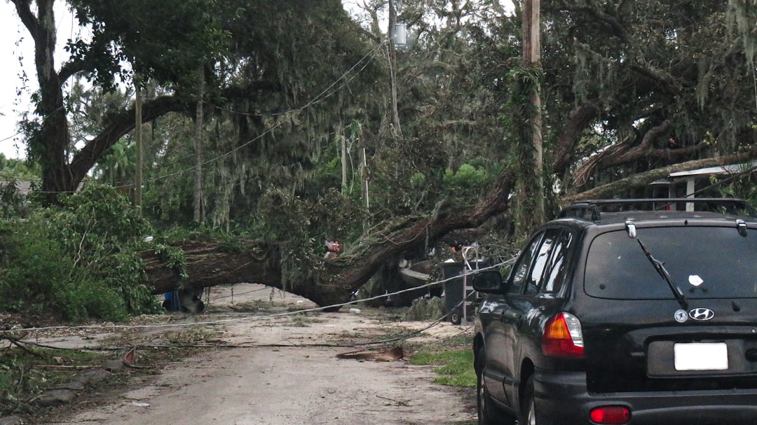 The Resilient Florida Program Response (image credits: unsplash)