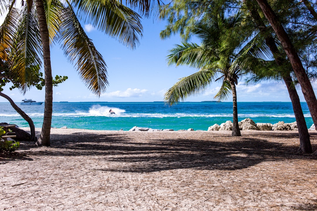 The Shocking Reality of Florida's Coastal Crisis (image credits: unsplash)