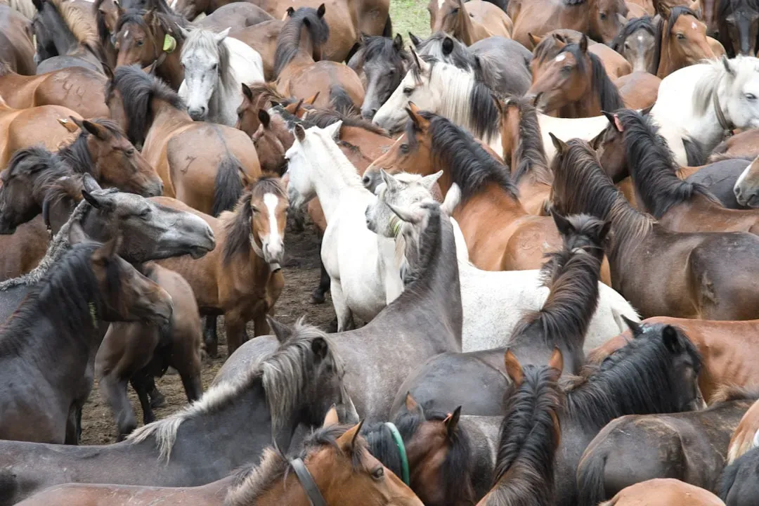 4. The Overpopulation Problem and Its Ecological Toll (Image Credits: Unsplash)