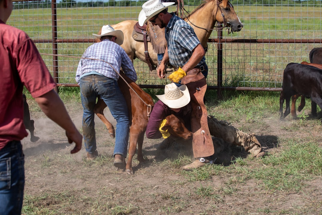 Being a Cowboy Was a Dead-End Job With Terrible Pay (image credits: unsplash)