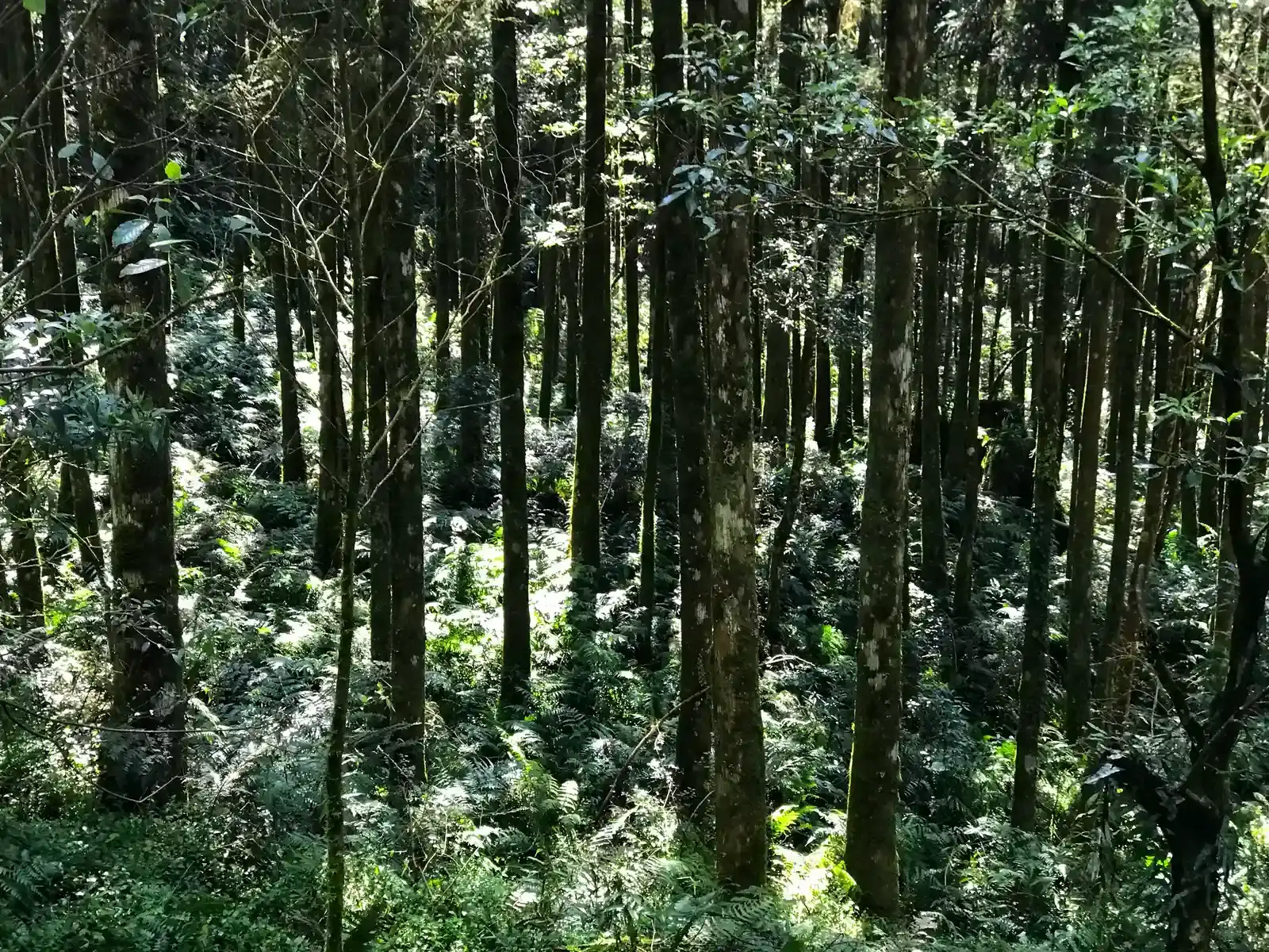 Targets for Protecting Lands and Seas (Image Credits: Wikimedia)