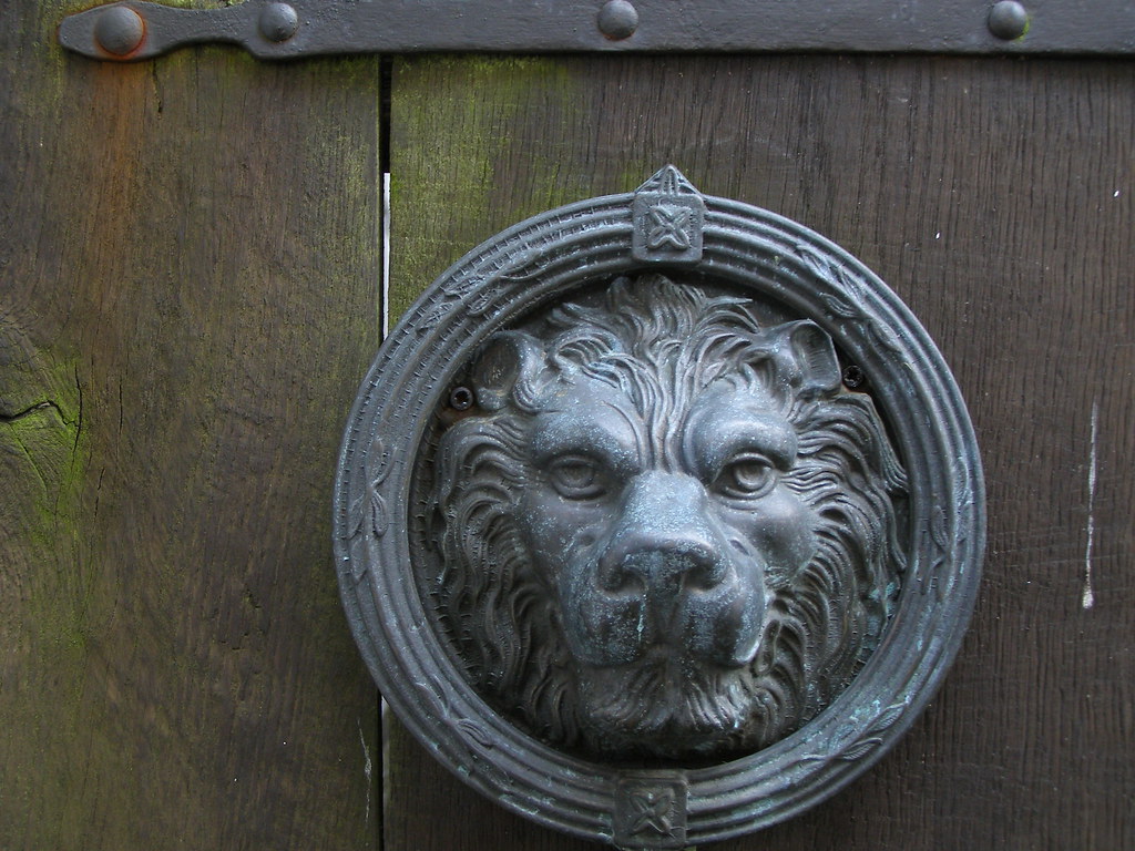 Leo: Professional Growth Meets Creative Renaissance (image credits: flickr)