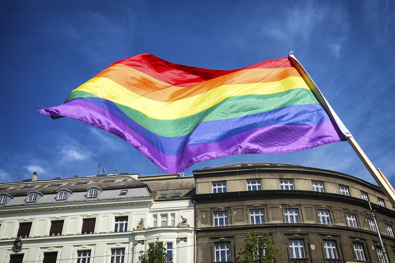 LGBTQ+ Rights and Gender-Affirming Care: A Cultural Battleground (image credits: pixabay)