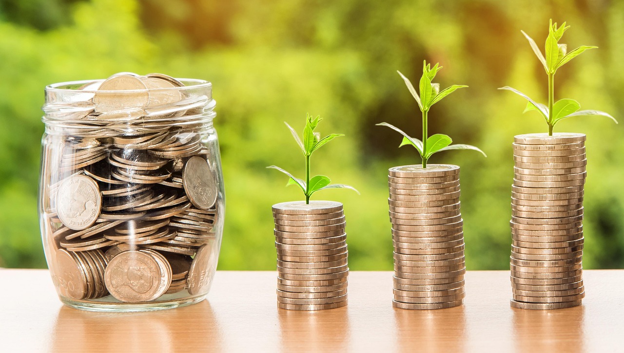 The Investment Opportunity (image credits: pixabay)