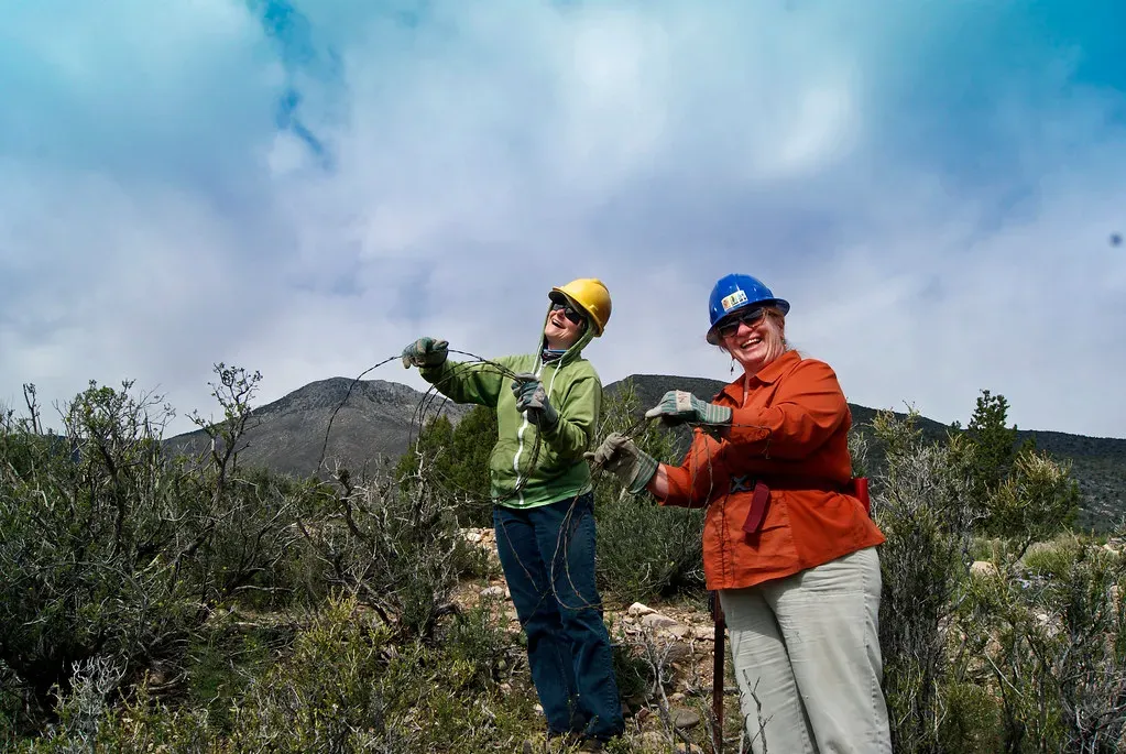 8. Colorado (Image Credits: Flickr)