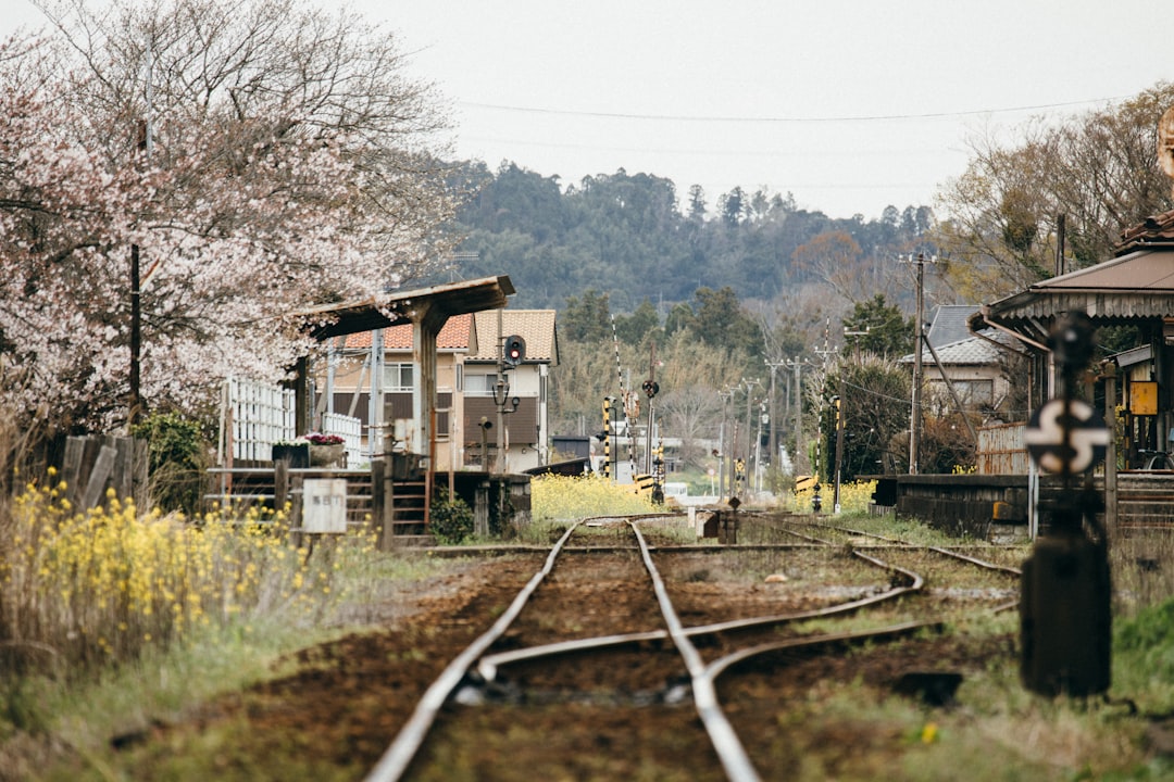 Railroad Towns: When the Tracks Moved On (image credits: unsplash)