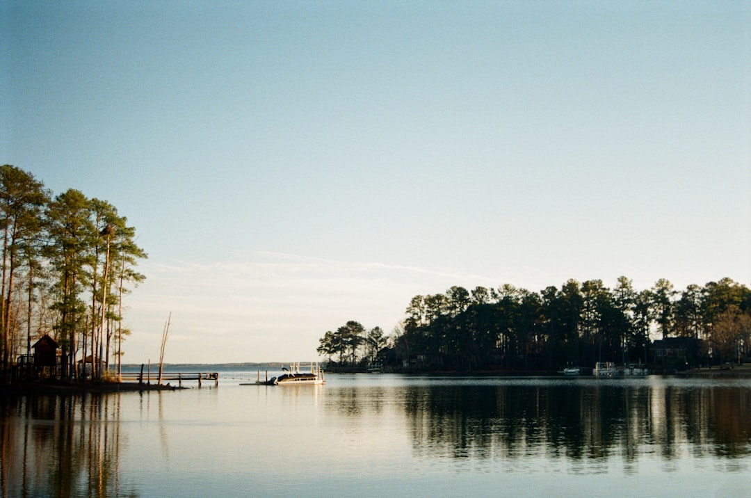 Lessons from the Palmetto State's Rebellion (image credits: unsplash)