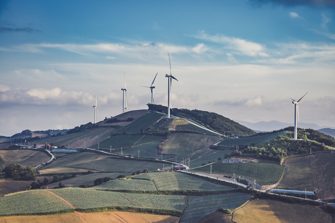 The Economic Development Magnet (image credits: unsplash)