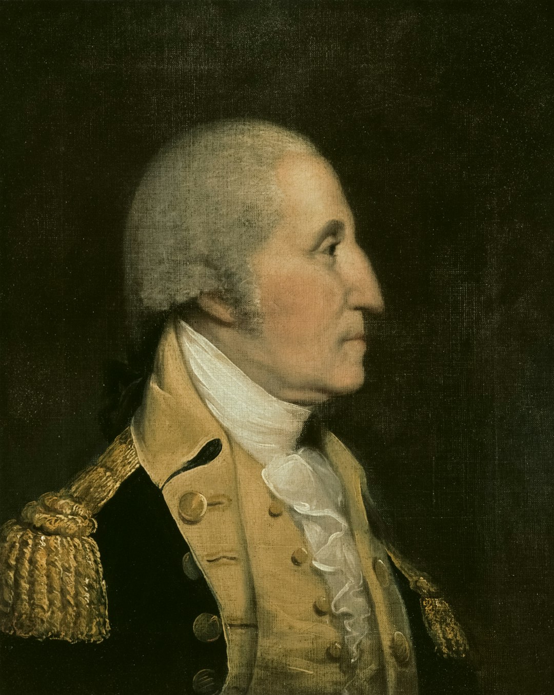 George Washington Had Wooden Teeth (image credits: unsplash)