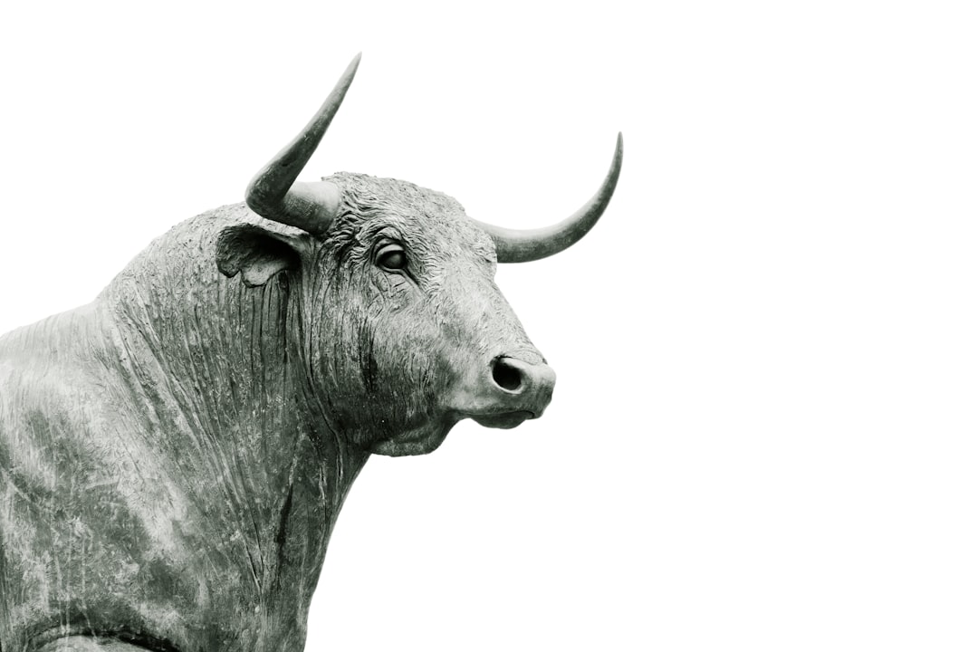 Taurus: The Steady Bull's Financial Breakthrough (image credits: unsplash)