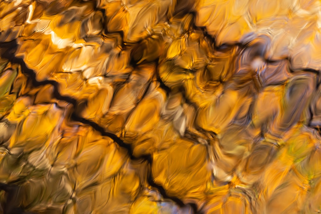 Fairbanks, Alaska - The Last Great Gold Rush (image credits: unsplash)