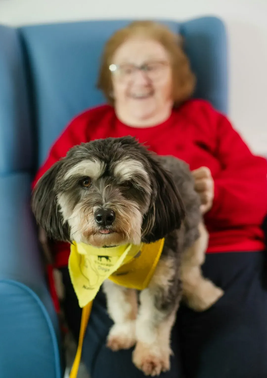 Conclusion: The Bond Between Seniors and Pets Deserves More Than a Smile (Image Credits: Unsplash)